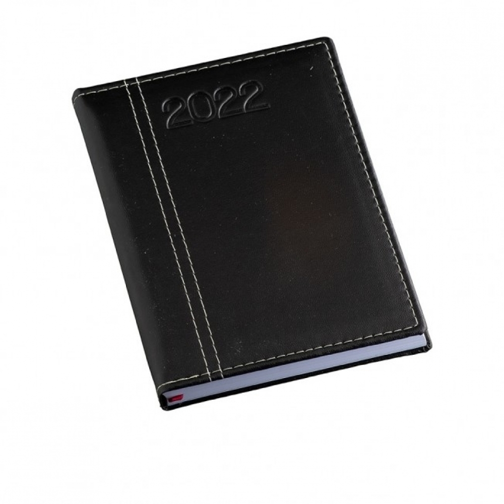 Agenda Diária 2022 Personalizada 