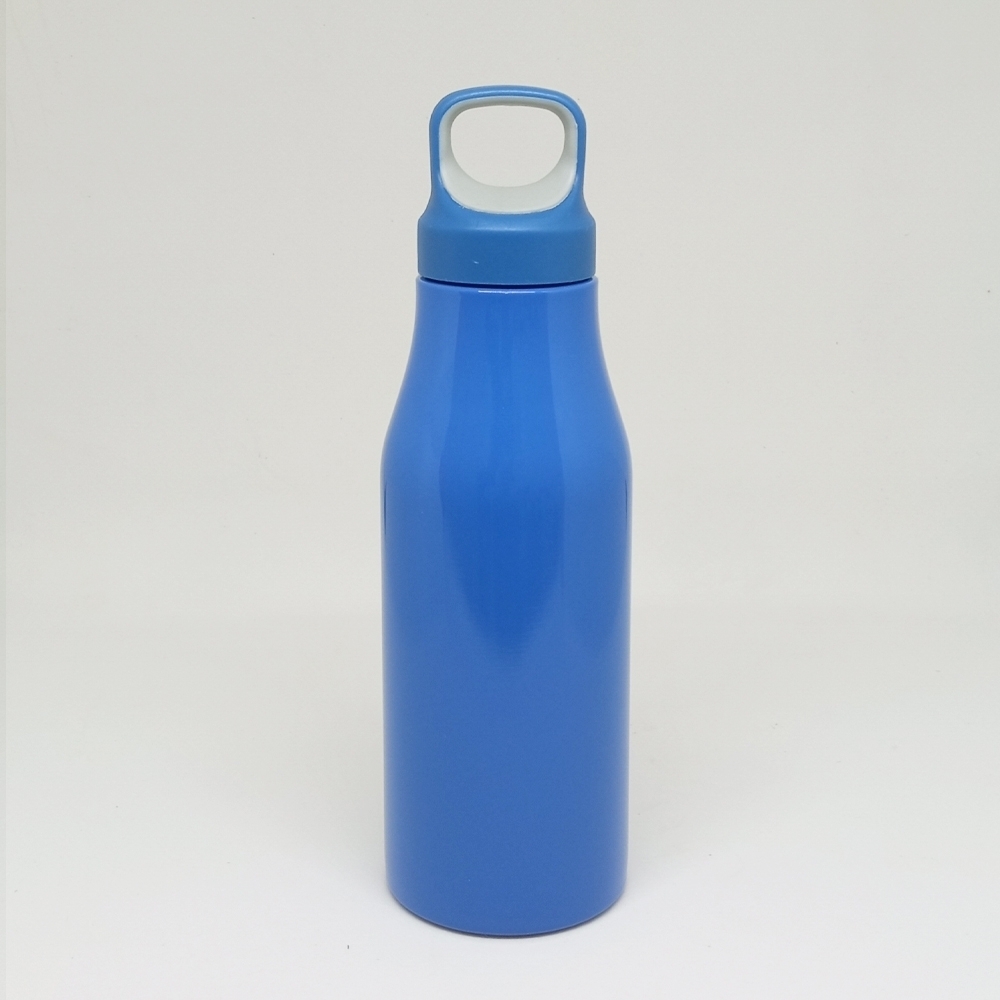 Garrafa 650ml metal