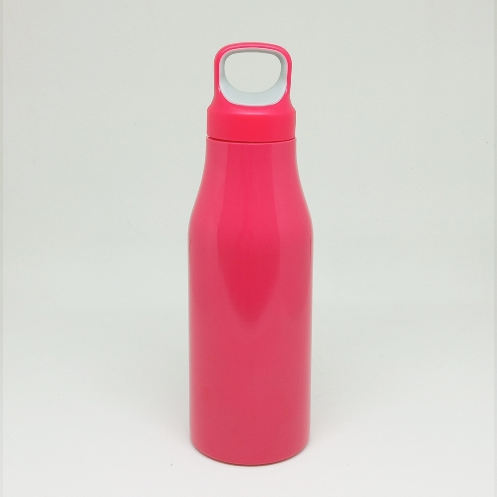 Garrafa 650ml metal