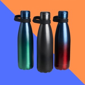 Garrafa Térmica Inovut - 510ml-BG100
