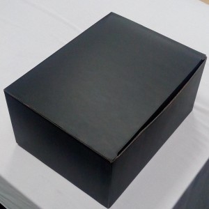Embalagem Modelo Caixa de Papelão Personalizado -BG087